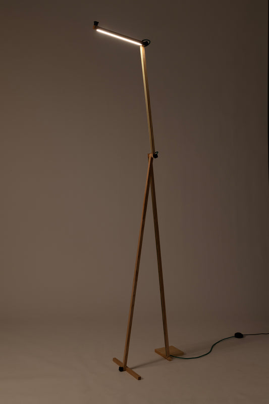 A floor lamp